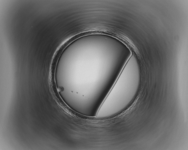 X0000116450780200912081413