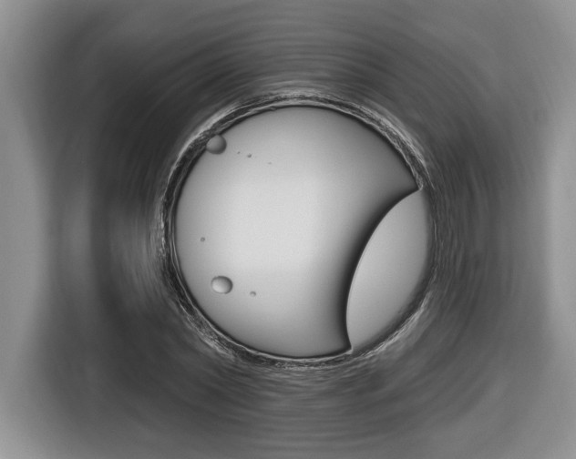 X0000116450782200912081413
