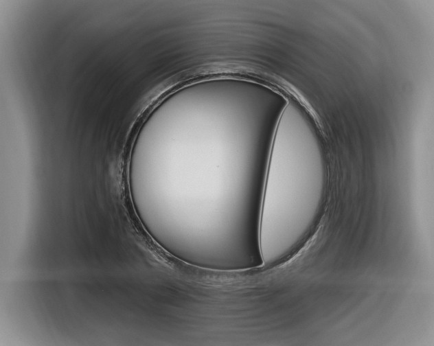 X0000116450786200912081413