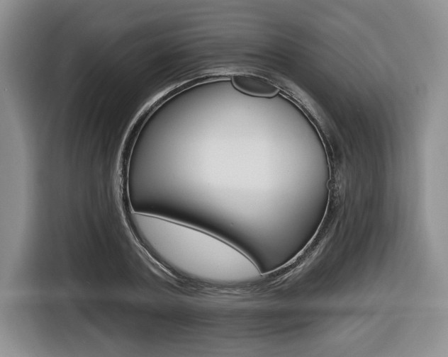 X0000116450787200912081413