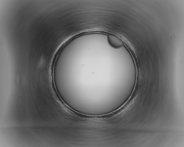 X0000116450789200912081413