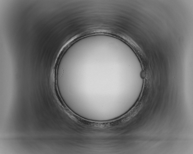 X0000116450790200912081413