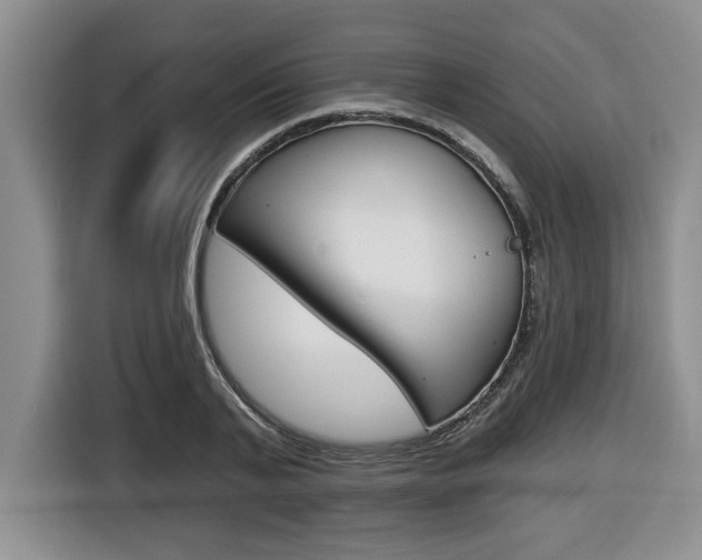 X0000116450791200912081413