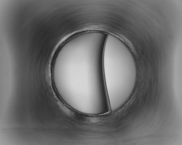X0000116450792200912081413
