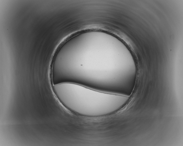 X0000116450799200912081413