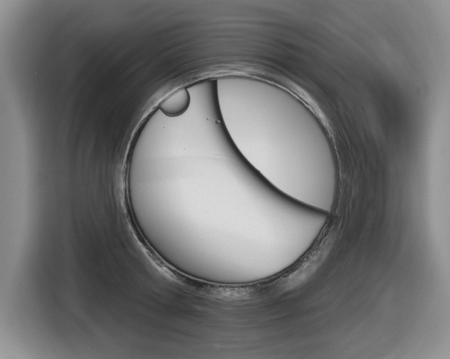 X0000116450802200912081413