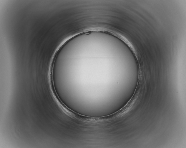 X0000116450803200912081413