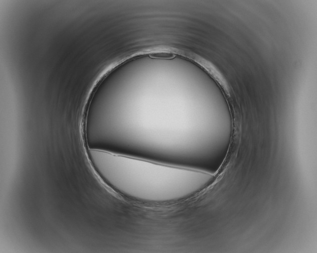 X0000116450805200912081413