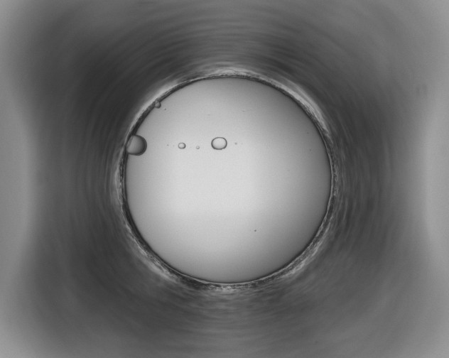 X0000116450806200912081413