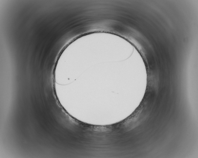 X0000116450807200912081413