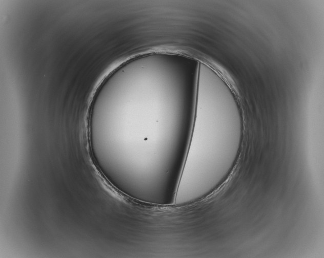X0000116450808200912081413