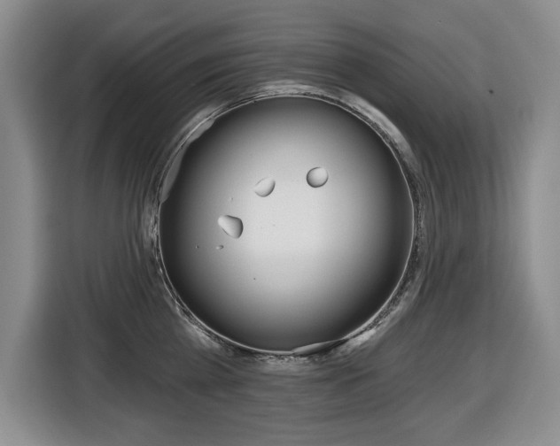 X0000116450809200912081413