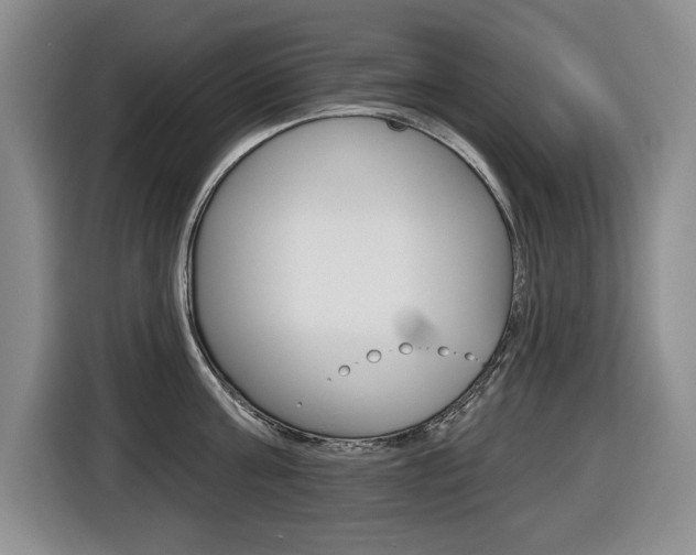 X0000116450811200912081413