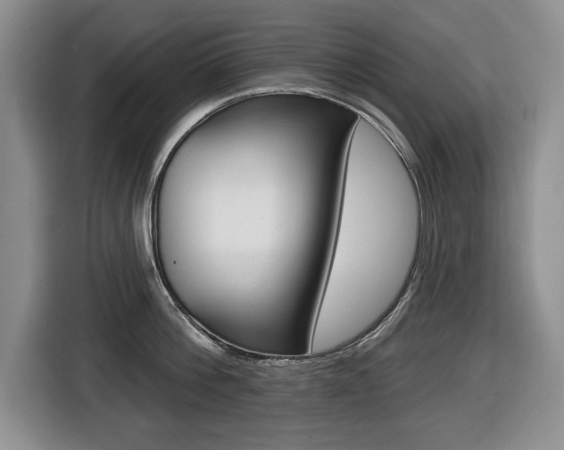 X0000116450812200912081413