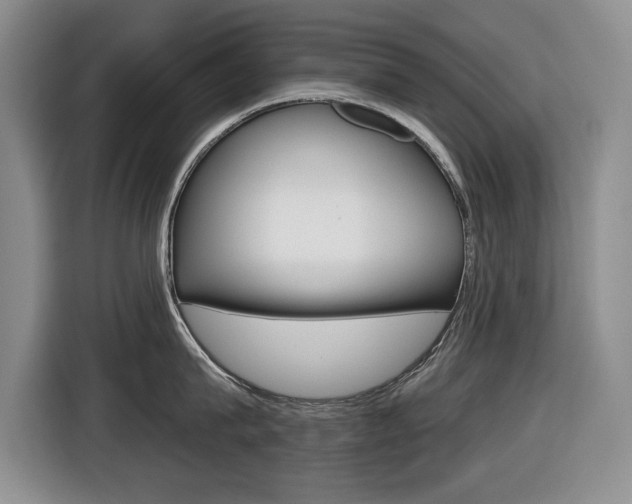X0000116450815200912081413