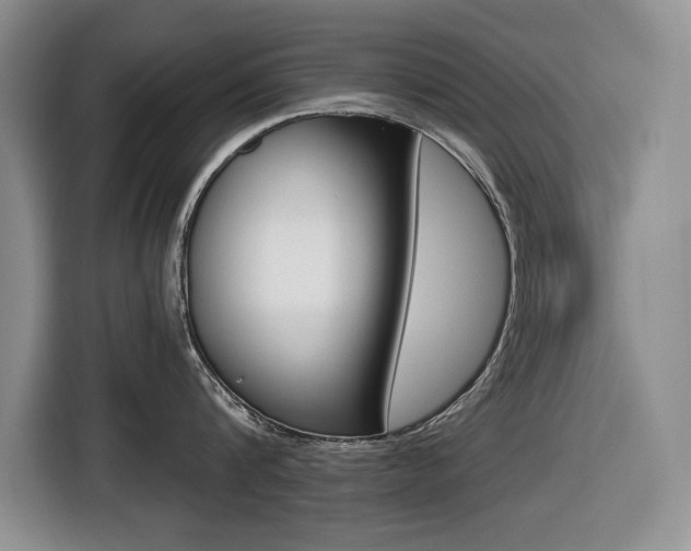 X0000116450816200912081413