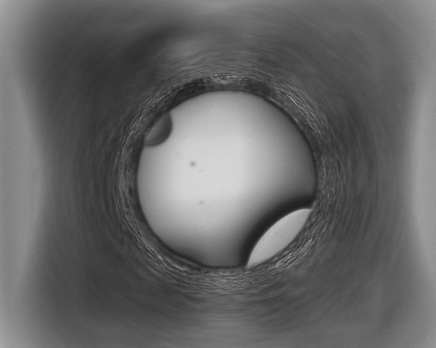 X0000116450817200912081412