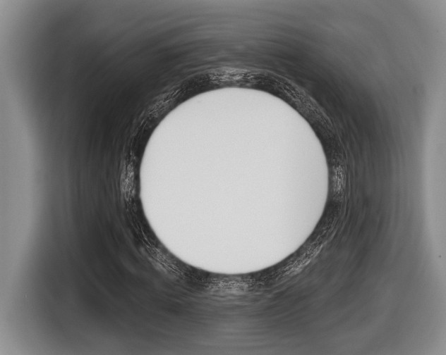 X0000116450820200912081412