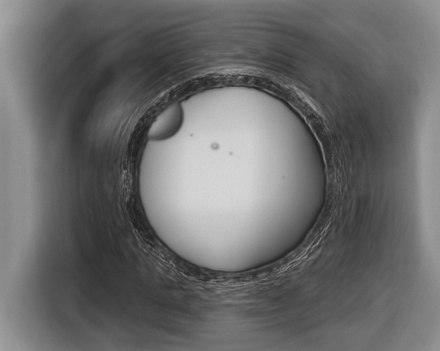 X0000116450821200912081412
