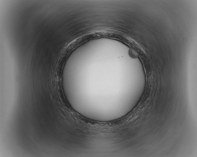 X0000116450822200912081412