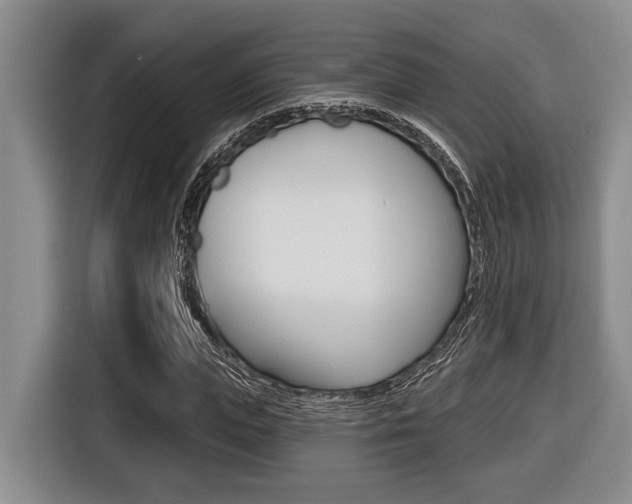 X0000116450823200912081412