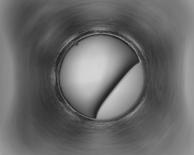 X0000116450829200912081412