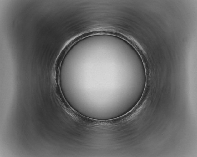 X0000116450830200912081412