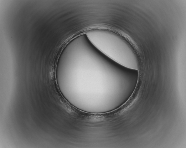 X0000116450833200912081412