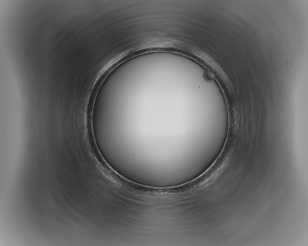 X0000116450834200912081412