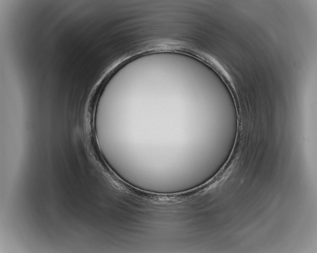 X0000116450835200912081412