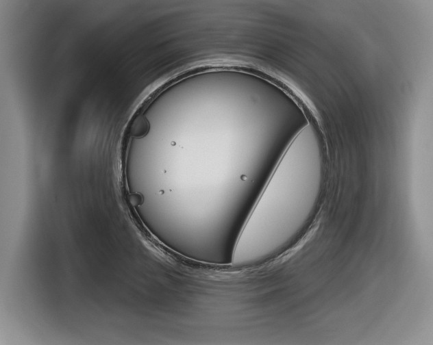 X0000116450837200912081412