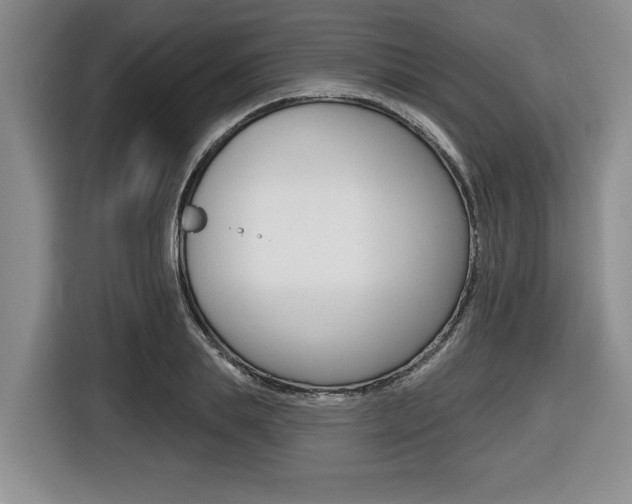 X0000116450839200912081412