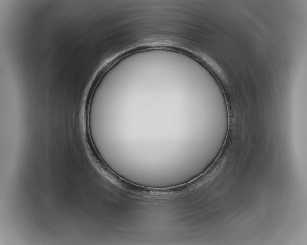 X0000116450840200912081412