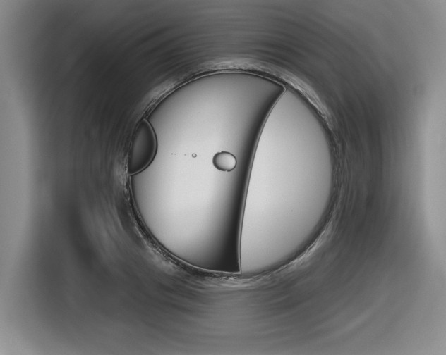 X0000116450841200912081412