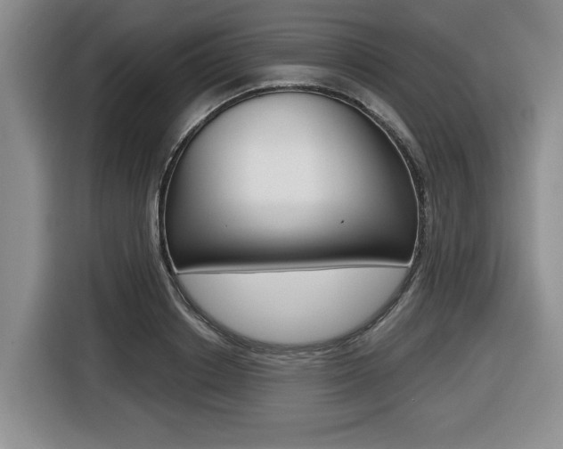 X0000116450842200912081412