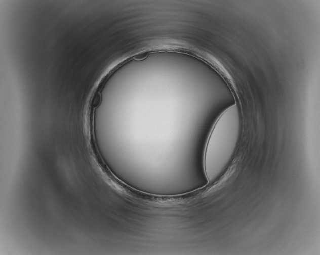 X0000116450843200912081412