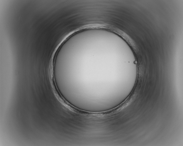 X0000116450844200912081412