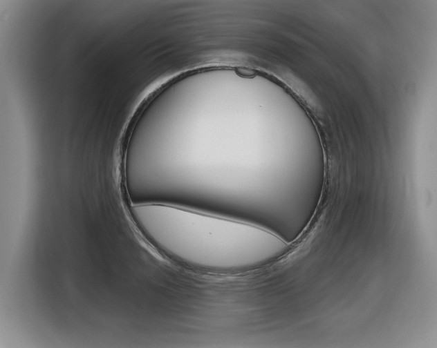 X0000116450846200912081412