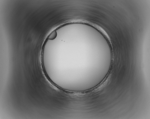 X0000116450847200912081412