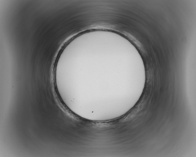 X0000116450848200912081412