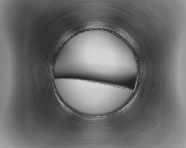 X0000116450849200912081412
