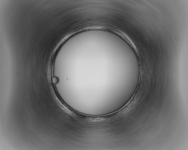 X0000116450851200912081412