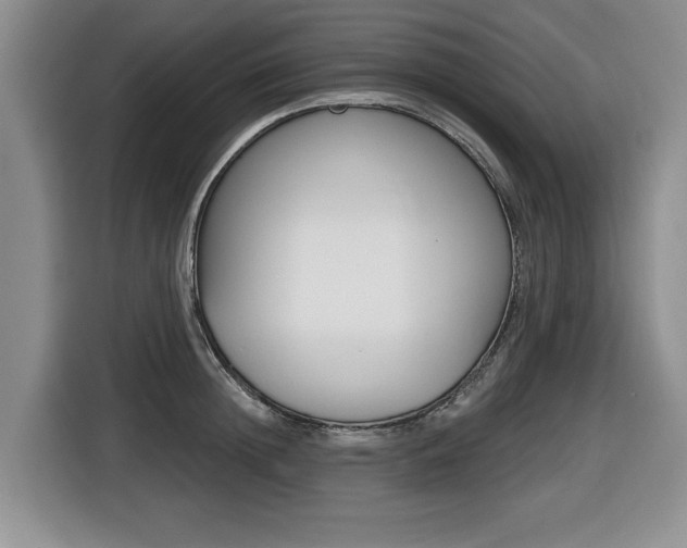 X0000116450852200912081412
