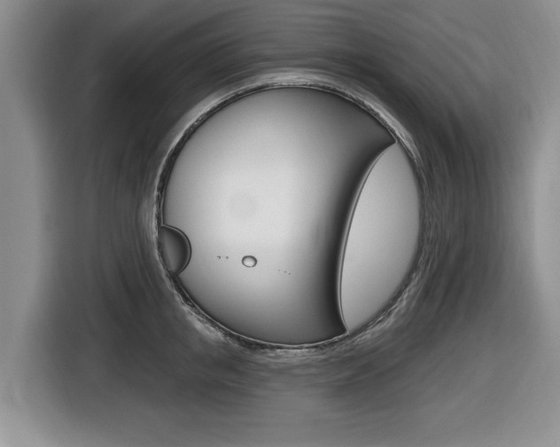 X0000116450853200912081412