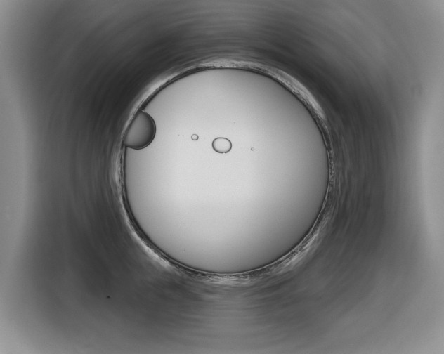 X0000116450855200912081412