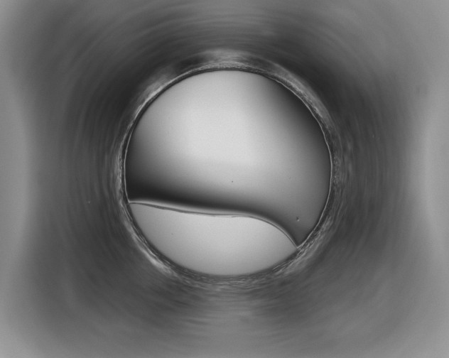 X0000116450858200912081412
