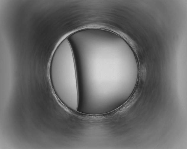 X0000116450862200912081413
