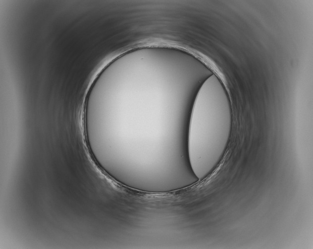 X0000116450863200912081413