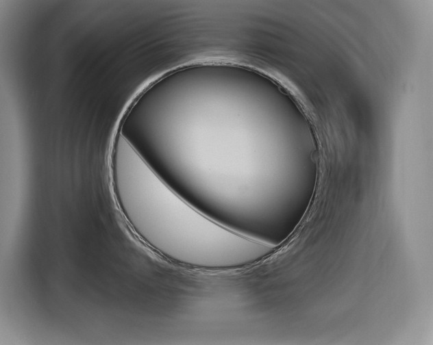 X0000116450864200912081413