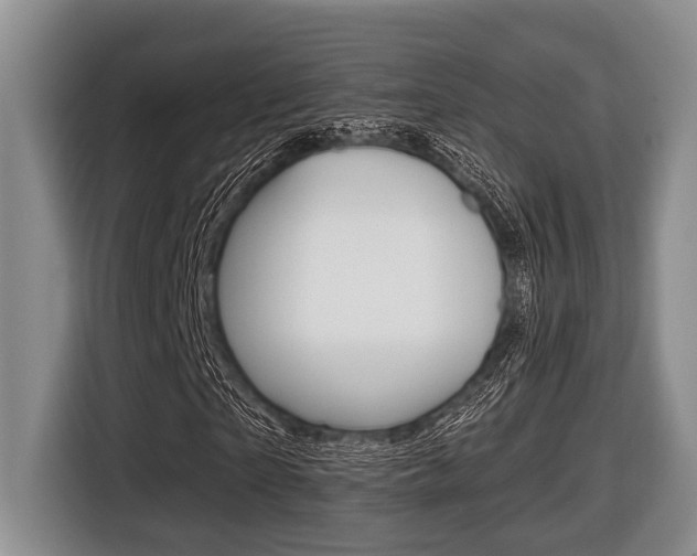 X0000116450865200912081412